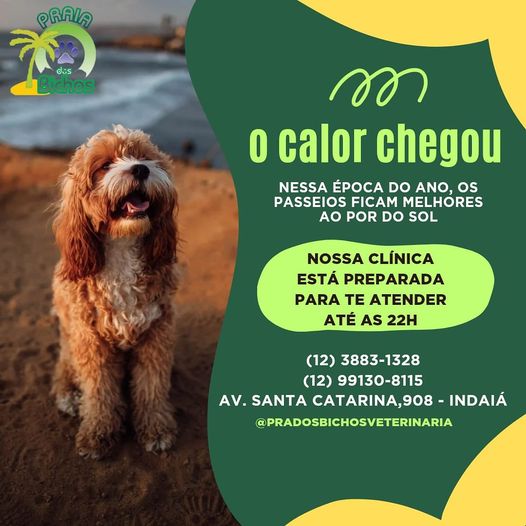 Clinica Veterinária Praia dos Bichos