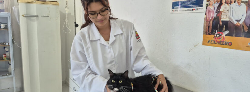 Centro de Controle de Zoonoses disponibiliza 250 vagas do Programa de Controle Populacional de cães e gatos na sexta-feira